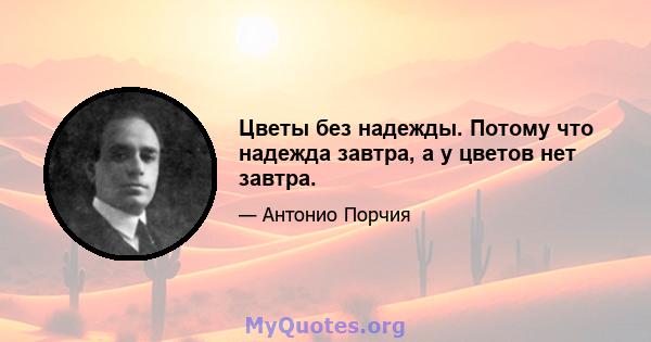 Цветы без надежды. Потому что надежда завтра, а у цветов нет завтра.