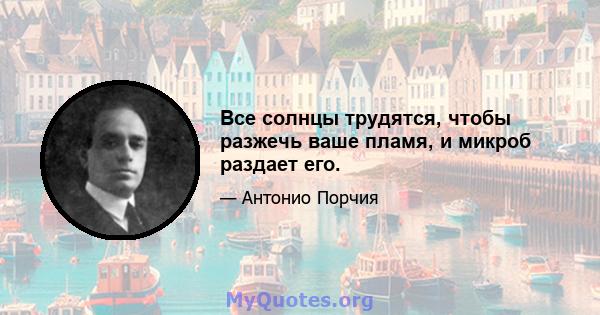 Все солнцы трудятся, чтобы разжечь ваше пламя, и микроб раздает его.