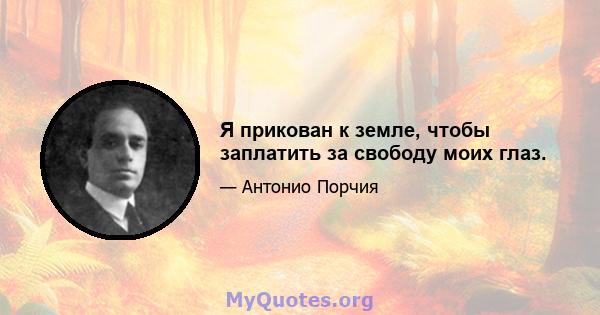 Я прикован к земле, чтобы заплатить за свободу моих глаз.