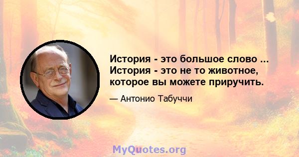 История - это большое слово ... История - это не то животное, которое вы можете приручить.