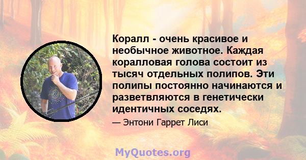 Коралл - очень красивое и необычное животное. Каждая коралловая голова состоит из тысяч отдельных полипов. Эти полипы постоянно начинаются и разветвляются в генетически идентичных соседях.