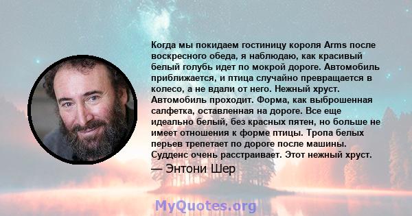 Когда мы покидаем гостиницу короля Arms после воскресного обеда, я наблюдаю, как красивый белый голубь идет по мокрой дороге. Автомобиль приближается, и птица случайно превращается в колесо, а не вдали от него. Нежный