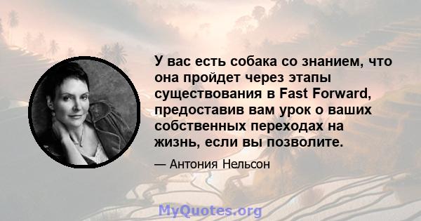 У вас есть собака со знанием, что она пройдет через этапы существования в Fast Forward, предоставив вам урок о ваших собственных переходах на жизнь, если вы позволите.