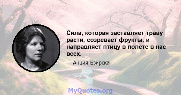 Сила, которая заставляет траву расти, созревает фрукты, и направляет птицу в полете в нас всех.