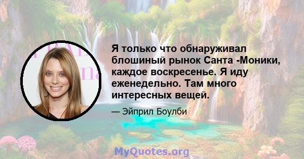 Я только что обнаруживал блошиный рынок Санта -Моники, каждое воскресенье. Я иду еженедельно. Там много интересных вещей.