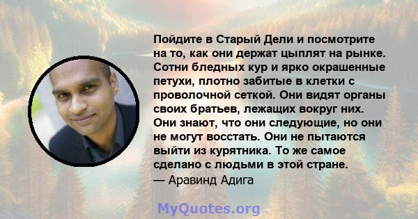 Пойдите в Старый Дели и посмотрите на то, как они держат цыплят на рынке. Сотни бледных кур и ярко окрашенные петухи, плотно забитые в клетки с проволочной сеткой. Они видят органы своих братьев, лежащих вокруг них. Они 