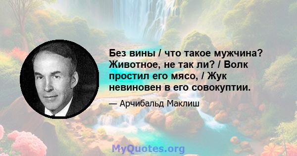 Без вины / что такое мужчина? Животное, не так ли? / Волк простил его мясо, / Жук невиновен в его совокуптии.