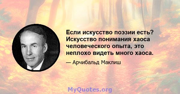 Если искусство поэзии есть? Искусство понимания хаоса человеческого опыта, это неплохо видеть много хаоса.