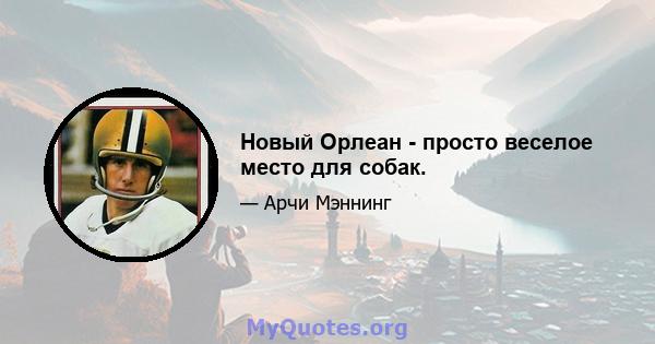 Новый Орлеан - просто веселое место для собак.