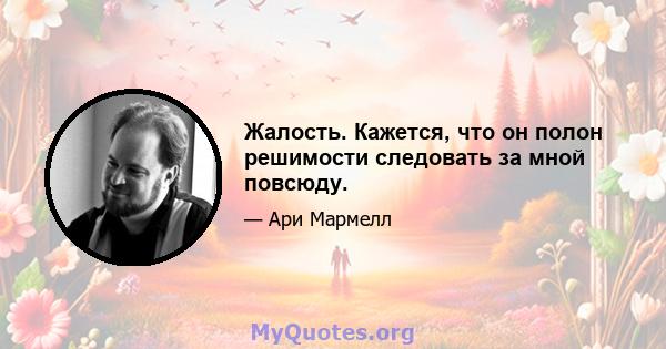 Жалость. Кажется, что он полон решимости следовать за мной повсюду.