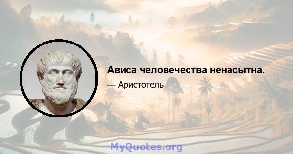 Ависа человечества ненасытна.