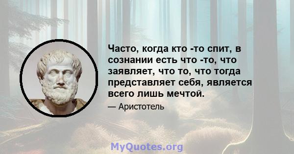 Часто, когда кто -то спит, в сознании есть что -то, что заявляет, что то, что тогда представляет себя, является всего лишь мечтой.