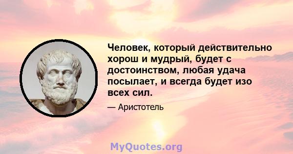 Человек, который действительно хорош и мудрый, будет с достоинством, любая удача посылает, и всегда будет изо всех сил.