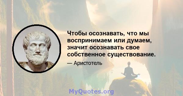 Чтобы осознавать, что мы воспринимаем или думаем, значит осознавать свое собственное существование.