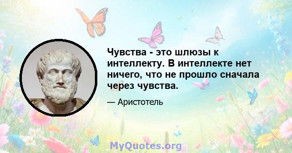 Чувства - это шлюзы к интеллекту. В интеллекте нет ничего, что не прошло сначала через чувства.