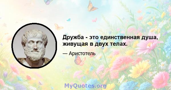 Дружба - это единственная душа, живущая в двух телах.