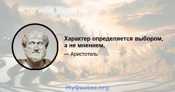 Характер определяется выбором, а не мнением.