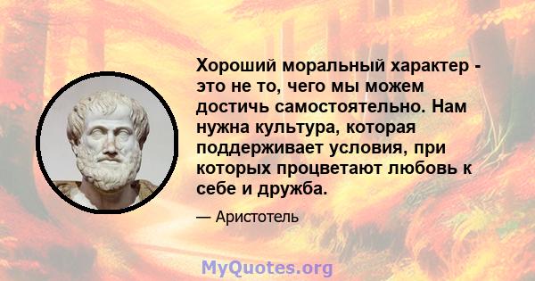 Хороший моральный характер - это не то, чего мы можем достичь самостоятельно. Нам нужна культура, которая поддерживает условия, при которых процветают любовь к себе и дружба.