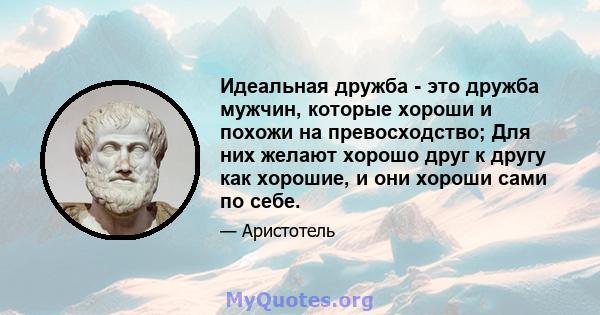 Идеальная дружба - это дружба мужчин, которые хороши и похожи на превосходство; Для них желают хорошо друг к другу как хорошие, и они хороши сами по себе.