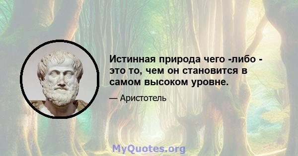 Истинная природа чего -либо - это то, чем он становится в самом высоком уровне.