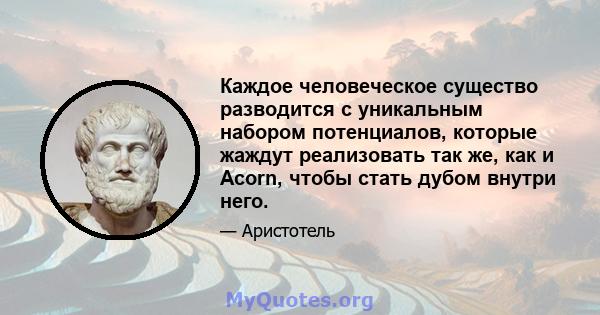 Каждое человеческое существо разводится с уникальным набором потенциалов, которые жаждут реализовать так же, как и Acorn, чтобы стать дубом внутри него.