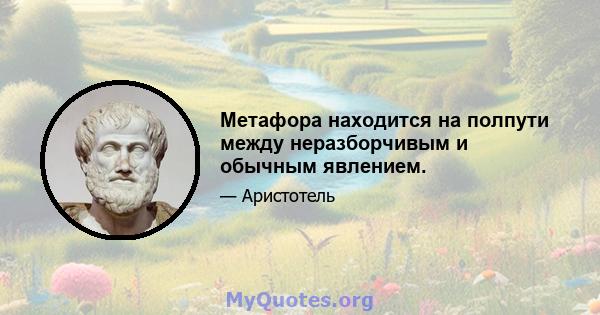 Метафора находится на полпути между неразборчивым и обычным явлением.