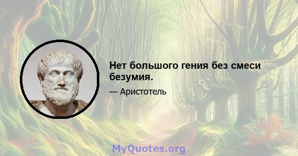 Нет большого гения без смеси безумия.