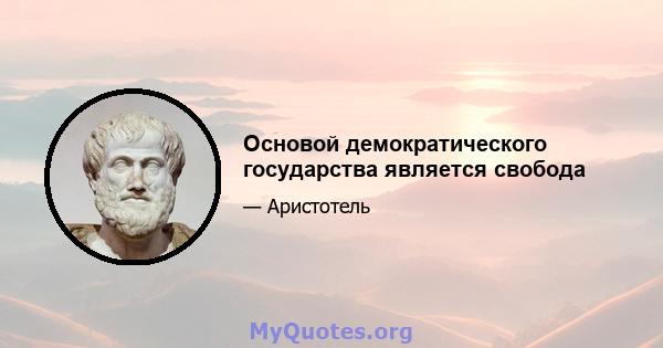 Основой демократического государства является свобода