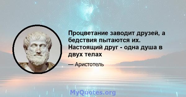 Процветание заводит друзей, а бедствия пытаются их. Настоящий друг - одна душа в двух телах