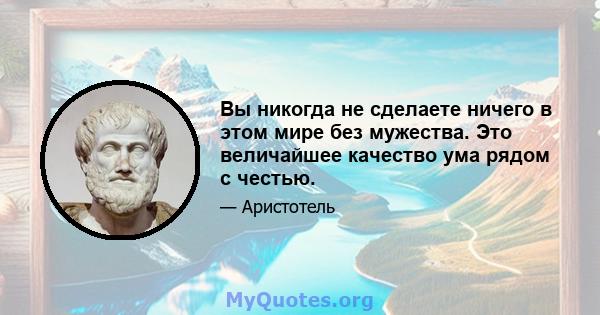 Вы никогда не сделаете ничего в этом мире без мужества. Это величайшее качество ума рядом с честью.