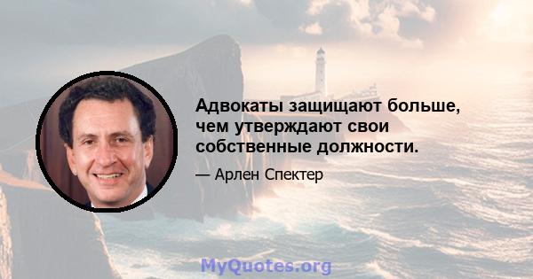 Адвокаты защищают больше, чем утверждают свои собственные должности.