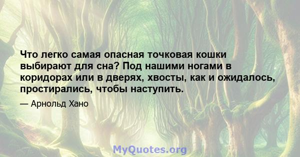 Что легко самая опасная точковая кошки выбирают для сна? Под нашими ногами в коридорах или в дверях, хвосты, как и ожидалось, простирались, чтобы наступить.