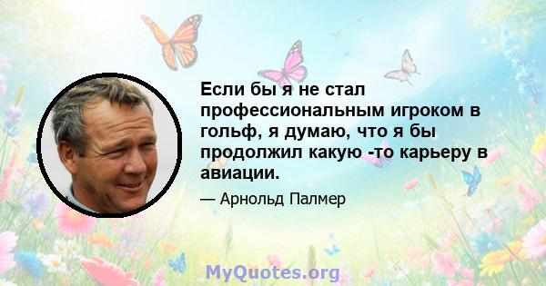 Если бы я не стал профессиональным игроком в гольф, я думаю, что я бы продолжил какую -то карьеру в авиации.