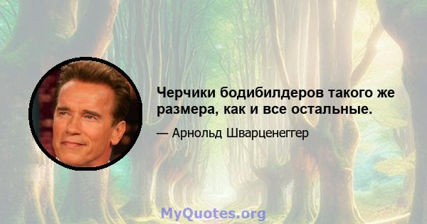 Черчики бодибилдеров такого же размера, как и все остальные.