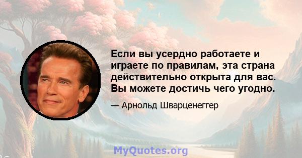 Если вы усердно работаете и играете по правилам, эта страна действительно открыта для вас. Вы можете достичь чего угодно.