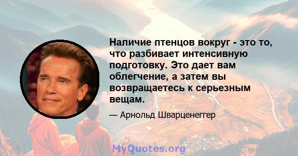 Наличие птенцов вокруг - это то, что разбивает интенсивную подготовку. Это дает вам облегчение, а затем вы возвращаетесь к серьезным вещам.