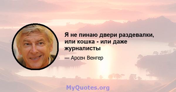 Я не пинаю двери раздевалки, или кошка - или даже журналисты