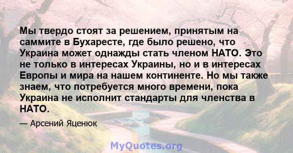 Мы твердо стоят за решением, принятым на саммите в Бухаресте, где было решено, что Украина может однажды стать членом НАТО. Это не только в интересах Украины, но и в интересах Европы и мира на нашем континенте. Но мы