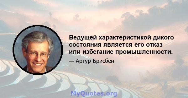 Ведущей характеристикой дикого состояния является его отказ или избегание промышленности.