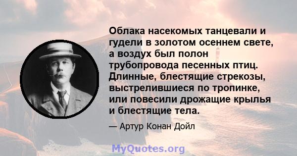 Облака насекомых танцевали и гудели в золотом осеннем свете, а воздух был полон трубопровода песенных птиц. Длинные, блестящие стрекозы, выстрелившиеся по тропинке, или повесили дрожащие крылья и блестящие тела.