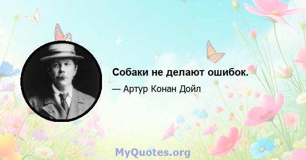 Собаки не делают ошибок.