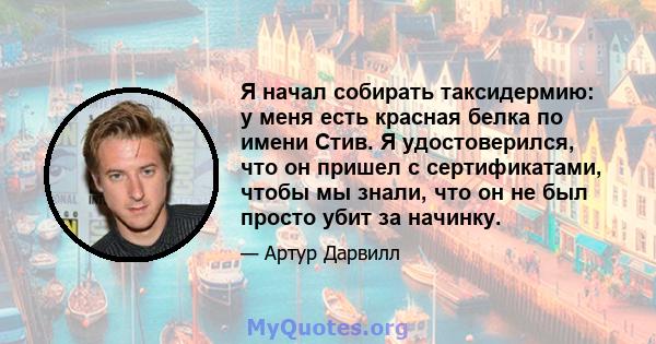 Я начал собирать таксидермию: у меня есть красная белка по имени Стив. Я удостоверился, что он пришел с сертификатами, чтобы мы знали, что он не был просто убит за начинку.