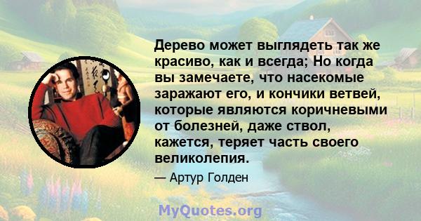 Дерево может выглядеть так же красиво, как и всегда; Но когда вы замечаете, что насекомые заражают его, и кончики ветвей, которые являются коричневыми от болезней, даже ствол, кажется, теряет часть своего великолепия.