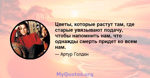 Цветы, которые растут там, где старые увязывают подачу, чтобы напомнить нам, что однажды смерть придет ко всем нам.