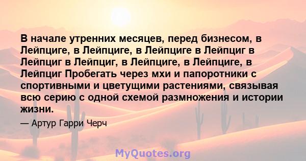 В начале утренних месяцев, перед бизнесом, в Лейпциге, в Лейпциге, в Лейпциге в Лейпциг в Лейпциг в Лейпциг, в Лейпциге, в Лейпциге, в Лейпциг Пробегать через мхи и папоротники с спортивными и цветущими растениями,