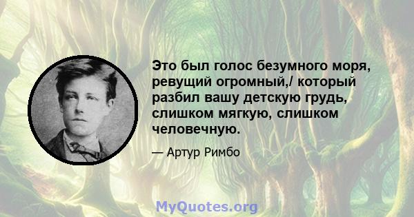 Это был голос безумного моря, ревущий огромный,/ который разбил вашу детскую грудь, слишком мягкую, слишком человечную.