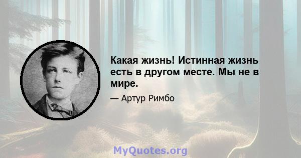 Какая жизнь! Истинная жизнь есть в другом месте. Мы не в мире.