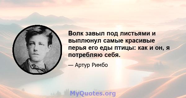 Волк завыл под листьями и выплюнул самые красивые перья его еды птицы: как и он, я потребляю себя.