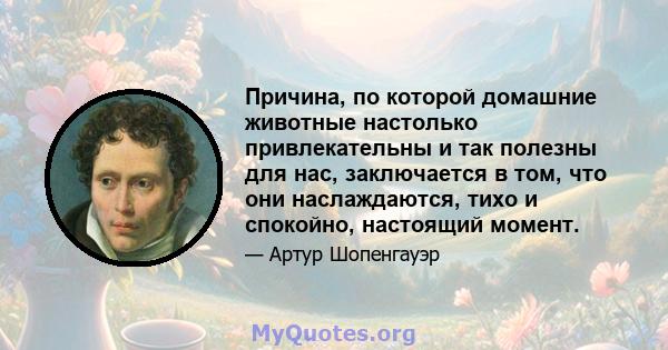 Причина, по которой домашние животные настолько привлекательны и так полезны для нас, заключается в том, что они наслаждаются, тихо и спокойно, настоящий момент.