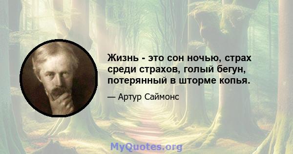 Жизнь - это сон ночью, страх среди страхов, голый бегун, потерянный в шторме копья.